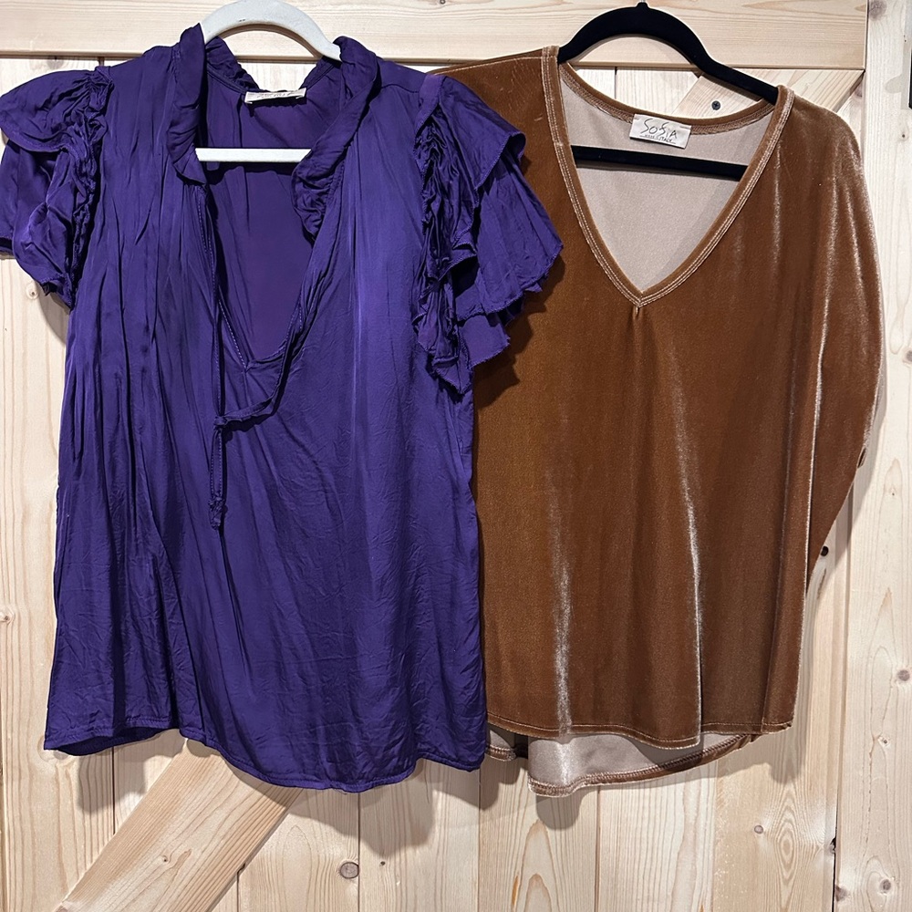 Purple Ruffled Blouse & Gold Velvet by Sofia